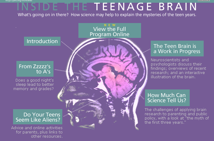 Sleep Rest Teenager Teen Brain 20