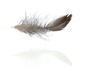 feather floating-md